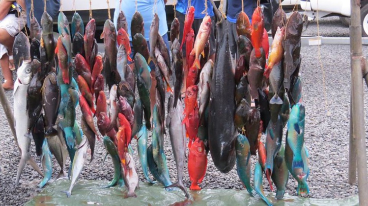 Pêche sous marine : 5ième et 6ième manche du championnat individuel 2016 sélectives pour le mondial Pêche sous marine : 5ième et 6ième manche du championnat individuel 2016 sélectives pour le mondial