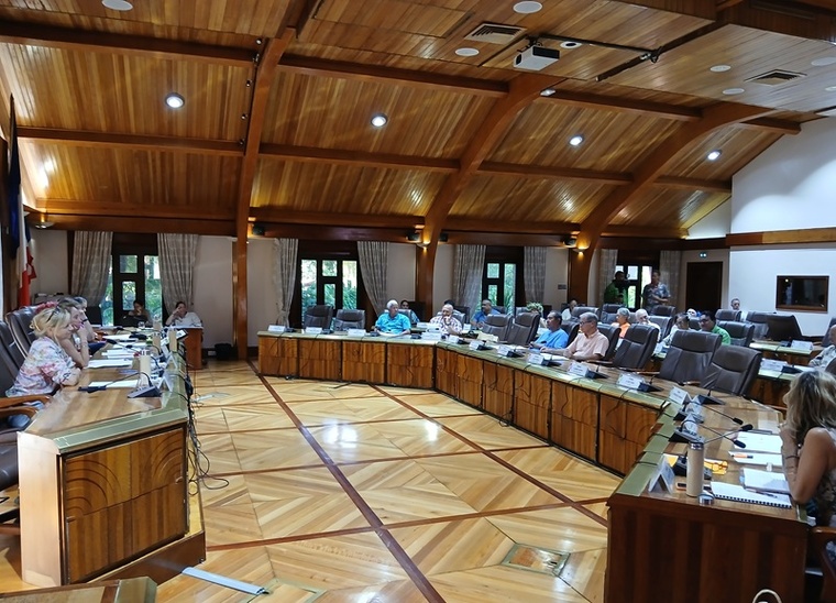 IA : au Cesec, l’autosaisine pour anticiper la révolution échoue de peu IA : au Cesec, l’autosaisine pour anticiper la révolution échoue de peu