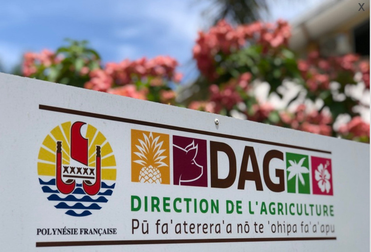 La réduction du nombre d’agents “amène de la frustration”