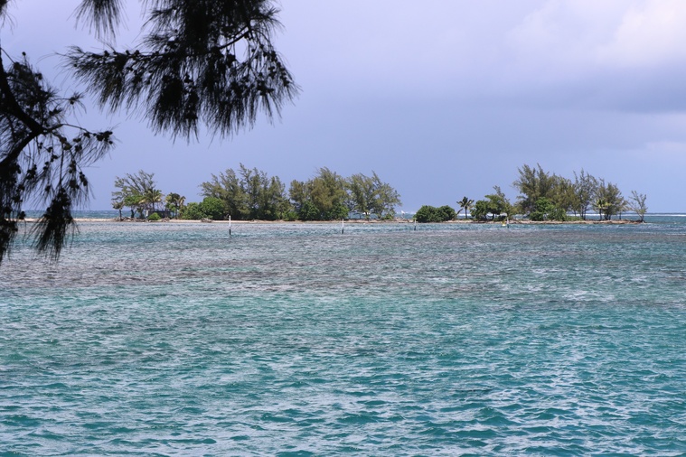 Condamné pour avoir percuté et gravement blessé un nageur Condamné pour avoir percuté et gravement blessé un nageur
