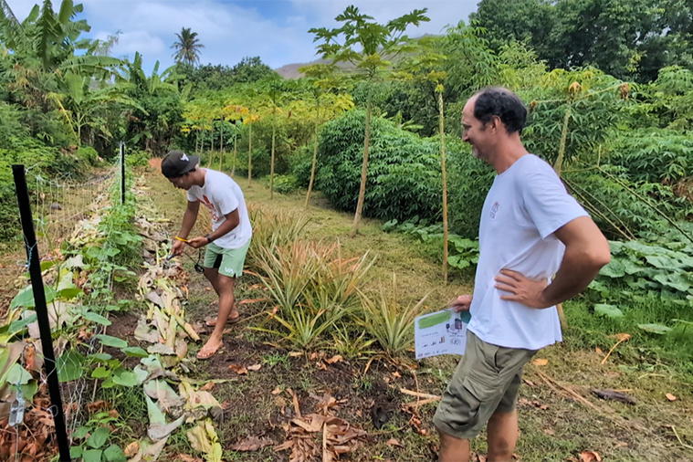 L’agriculture, un choix d’avenir pour la jeunesse des Marquises L’agriculture, un choix d’avenir pour la jeunesse des Marquises