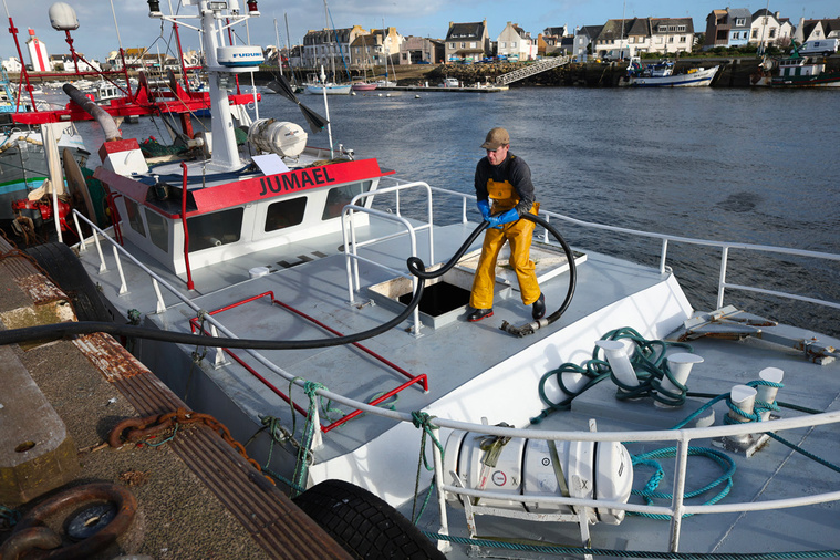 Crédit Fred TANNEAU / AFP Crédit Fred TANNEAU / AFP