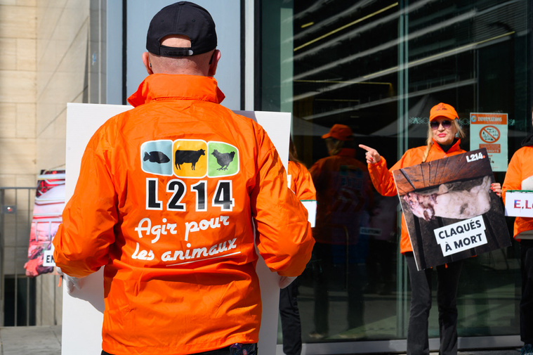 ELSA RANCEL / AFP ELSA RANCEL / AFP