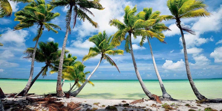 1 à 2 milliards de dollars par an, ce sont les besoins estimés à l’échelle du Pacifique pour faire face au changement climatique. Ils sont couverts à hauteur de 7 % seulement (Crédit : archive).