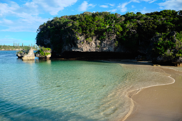 Crédit Theo Rouby / AFP Crédit Theo Rouby / AFP