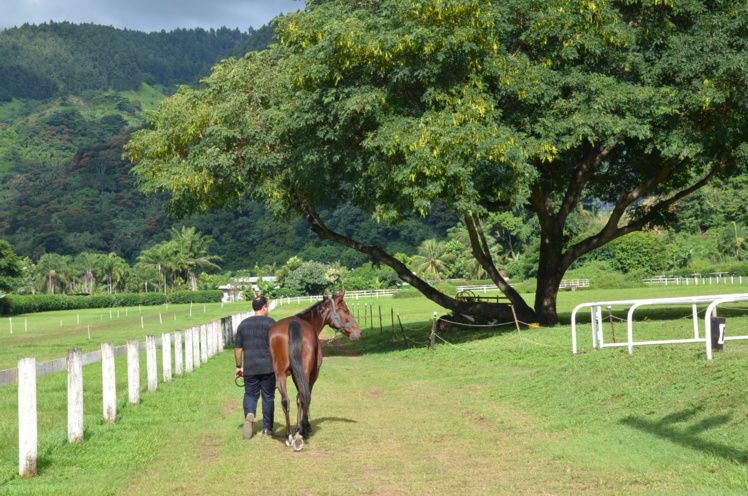 Tamatoa Lotte est un vrai passionné de course, il a commencé à driver à l'âge de 11 ans Tamatoa Lotte est un vrai passionné de course, il a commencé à driver à l'âge de 11 ans