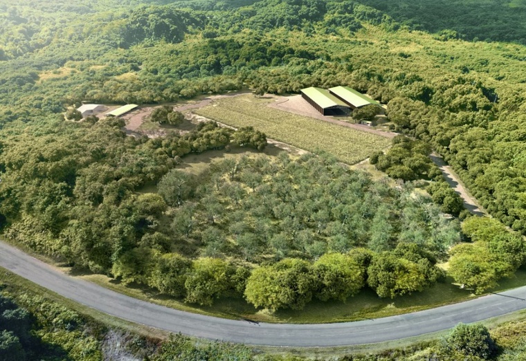 Taputapuātea opposé au CET de Faaroa Taputapuātea opposé au CET de Faaroa