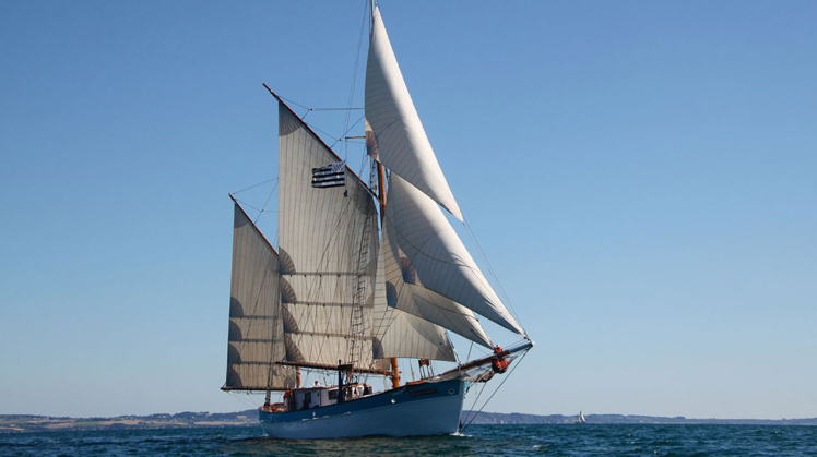 Le monde du silence n’existe pas ! Le monde du silence n’existe pas !