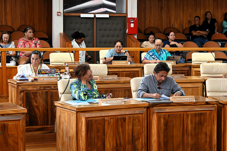 Nicole Sanquer dépose une proposition de loi pour suspendre la réforme RNS Nicole Sanquer dépose une proposition de loi pour suspendre la réforme RNS