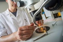 Des chercheurs dévoilent un projet pour créer un génome humain synthétique