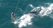 N-Calédonie: un kitesurfeur attaqué par un requin à Nouméa N-Calédonie: un kitesurfeur attaqué par un requin à Nouméa