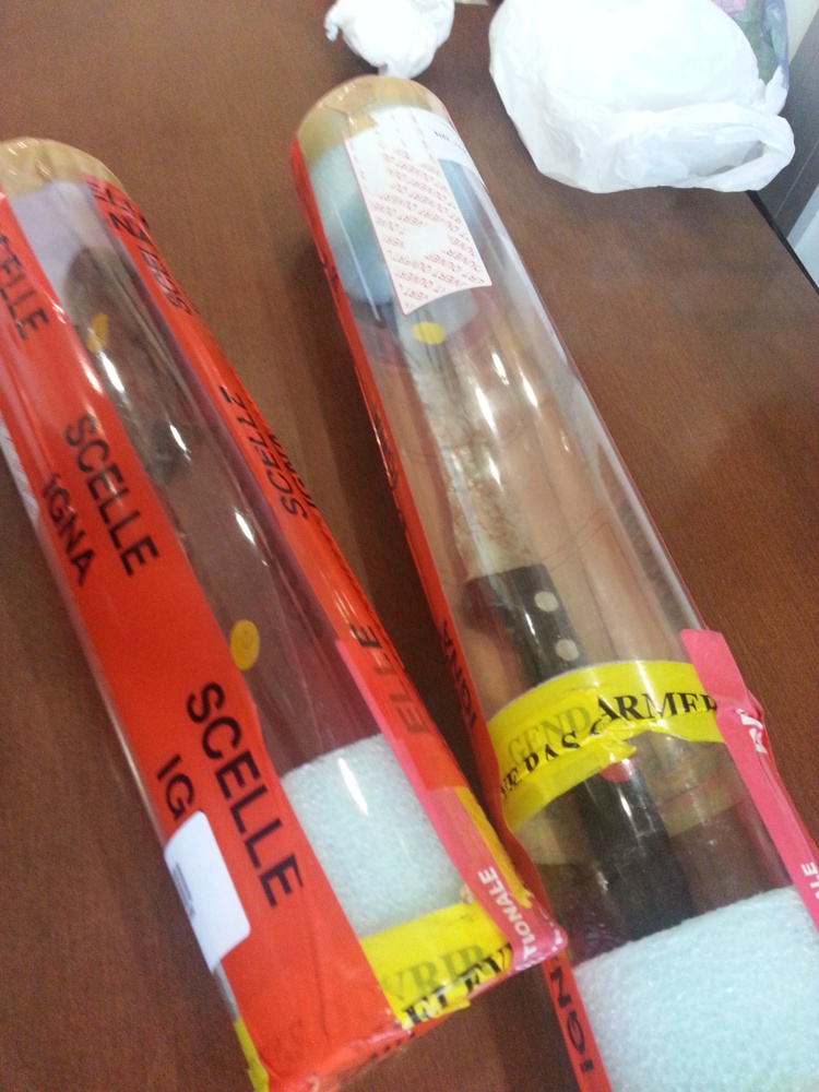 Les victimes avaient été poignardées à mort à des dizaines de reprises.