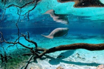 Journée mondiale de l'océan: les fonds marins bien moins connus que le sol lunaire Journée mondiale de l'océan: les fonds marins bien moins connus que le sol lunaire