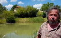 France: un couple condamné à combler sa mare pour cause de grenouilles bruyantes France: un couple condamné à combler sa mare pour cause de grenouilles bruyantes