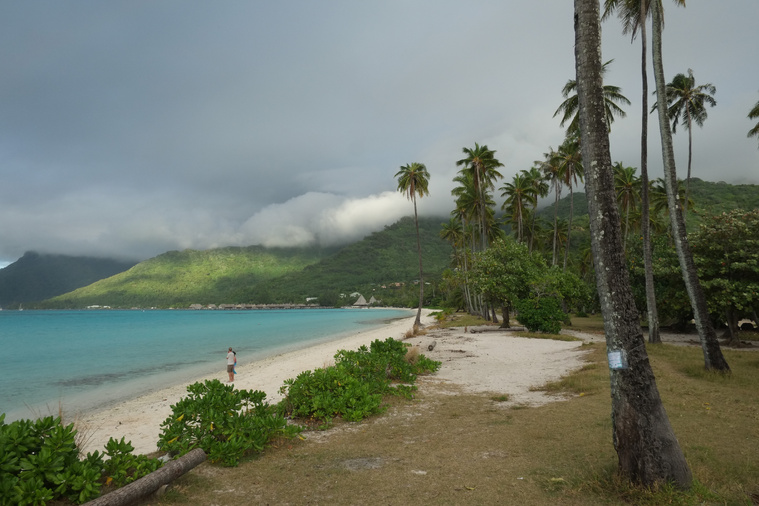 Consultation publique : le Pays presse Moorea sur Tema’e