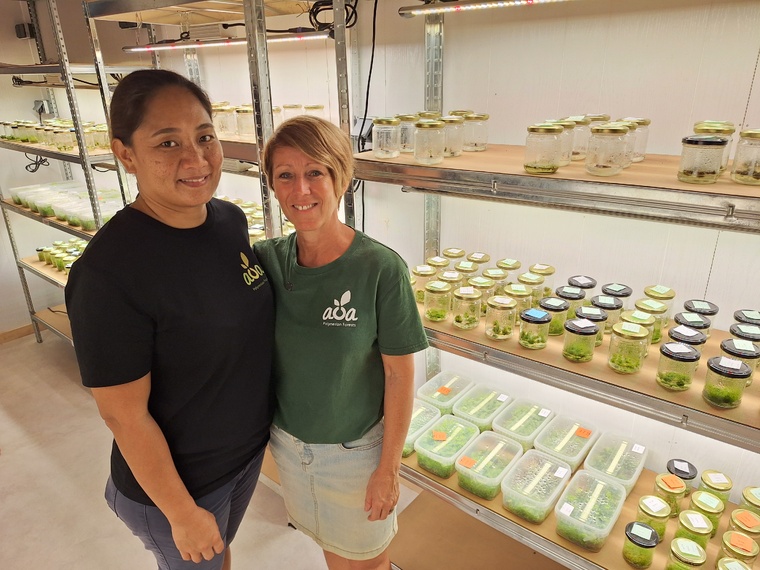 Mélanie Vairaa, technicienne de laboratoire, et Élodie Cinquin, directrice scientifique. Mélanie Vairaa, technicienne de laboratoire, et Élodie Cinquin, directrice scientifique.