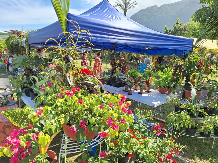 Artisanat, horticulture et agriculture sont à l’honneur jusqu’au 21 juin.