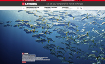 RFI lance un site web pour apprendre le français RFI lance un site web pour apprendre le français