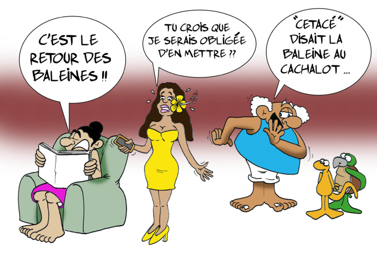 Le retour des baleines par Munoz