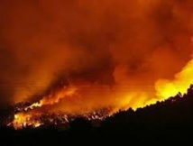 Arbres décimés et sécheresse: cocktail explosif pour les incendies dans l'ouest américain