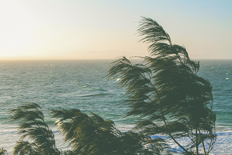 © Pexels