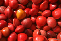 Les perles colorées de Hiva Oa
