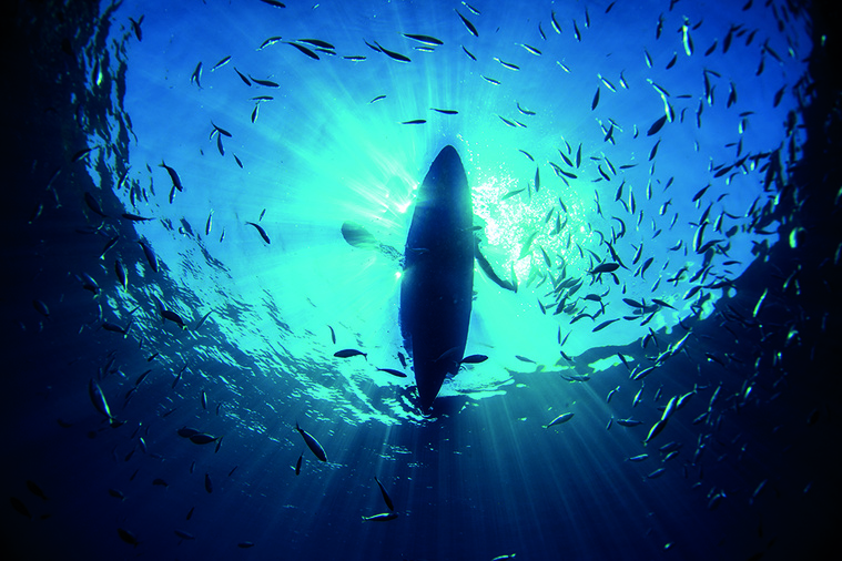 ​Les océans mondiaux ont atteint un pic de chaleur en juin