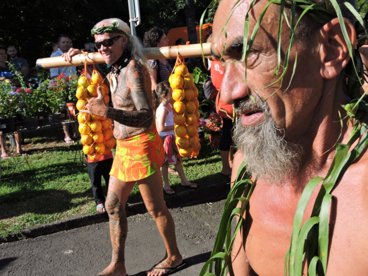 Punaauia : la cueillette des oranges a commencé