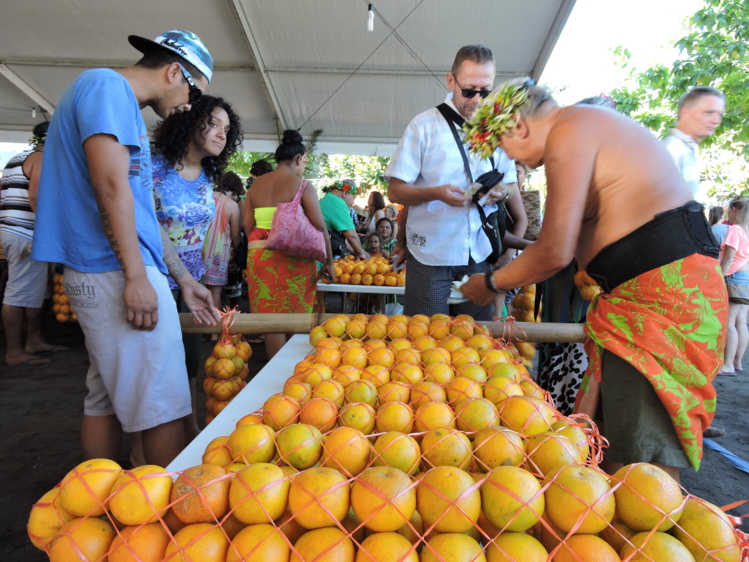 Punaauia : la cueillette des oranges a commencé