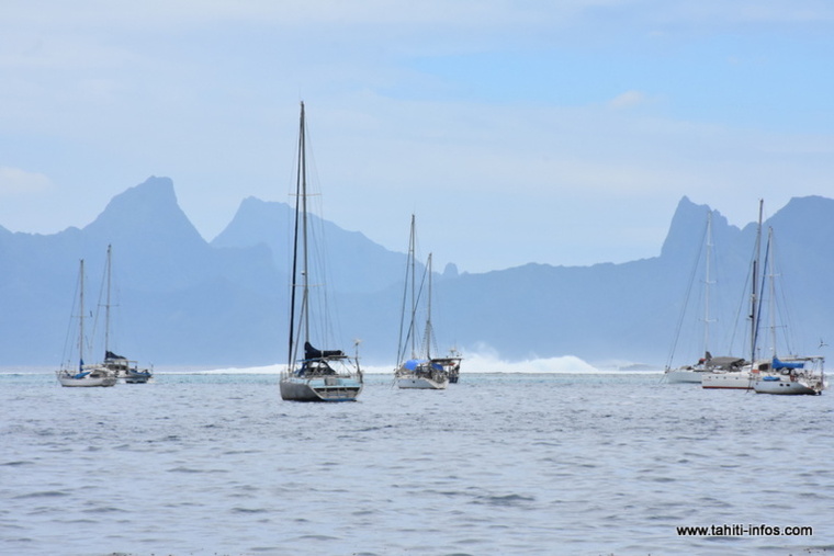 Mouillage à Moorea : le tribunal rappelle le Pays à l'ordre