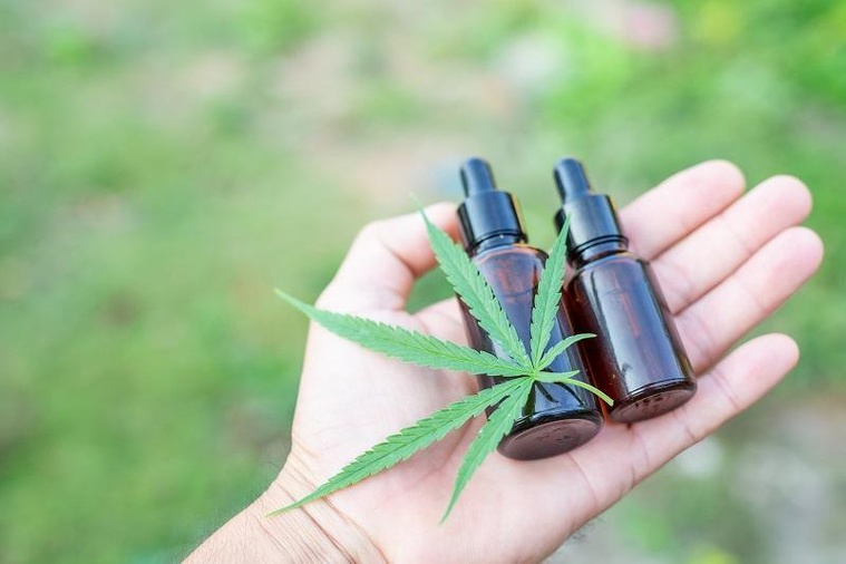 Cannabis thérapeutique : le “top départ” attendra encore Cannabis thérapeutique : le “top départ” attendra encore