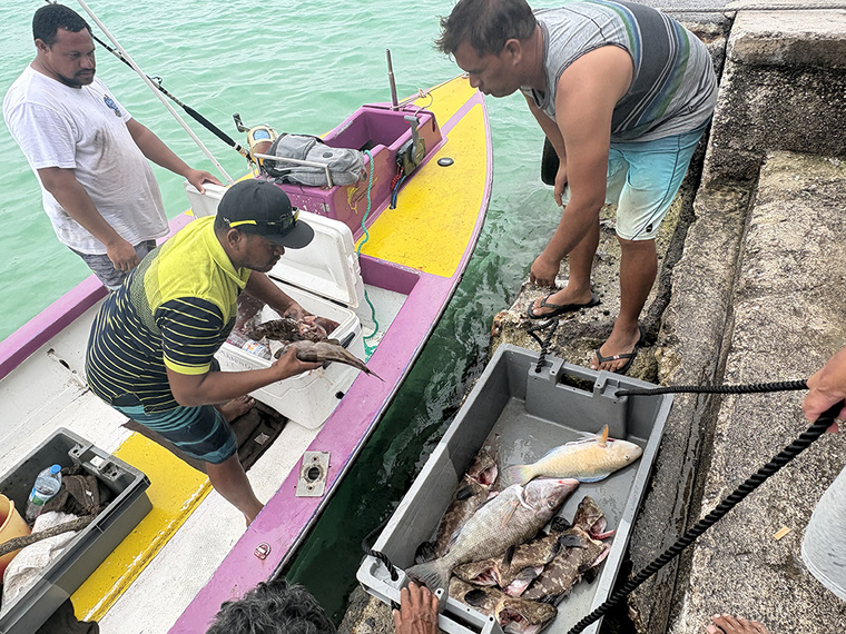 Concours de pêche lagonnaire : Une moisson de 331 kg à Hao Concours de pêche lagonnaire : Une moisson de 331 kg à Hao