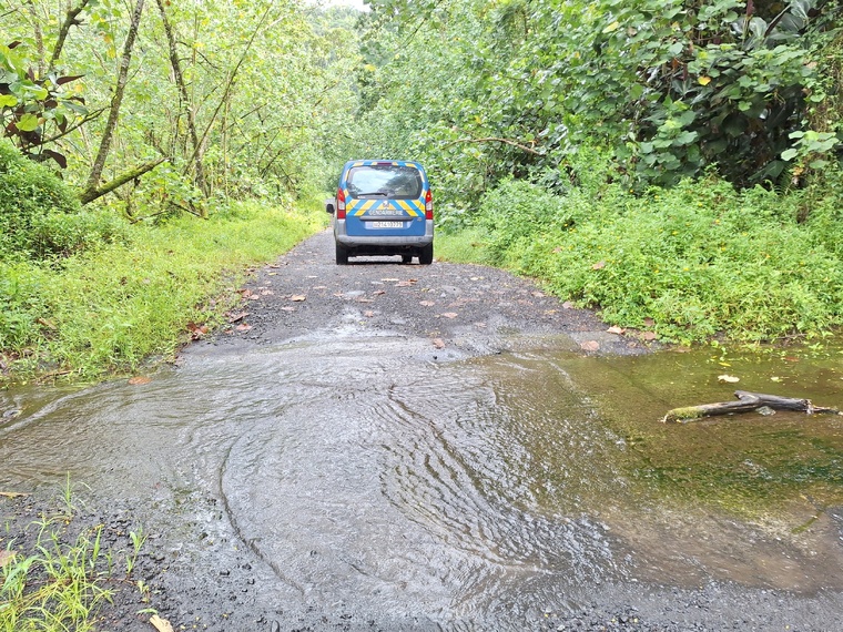 Les recherches se poursuivent dans la vallée de la Maroto, à Papeno’o (Crédit : archive).