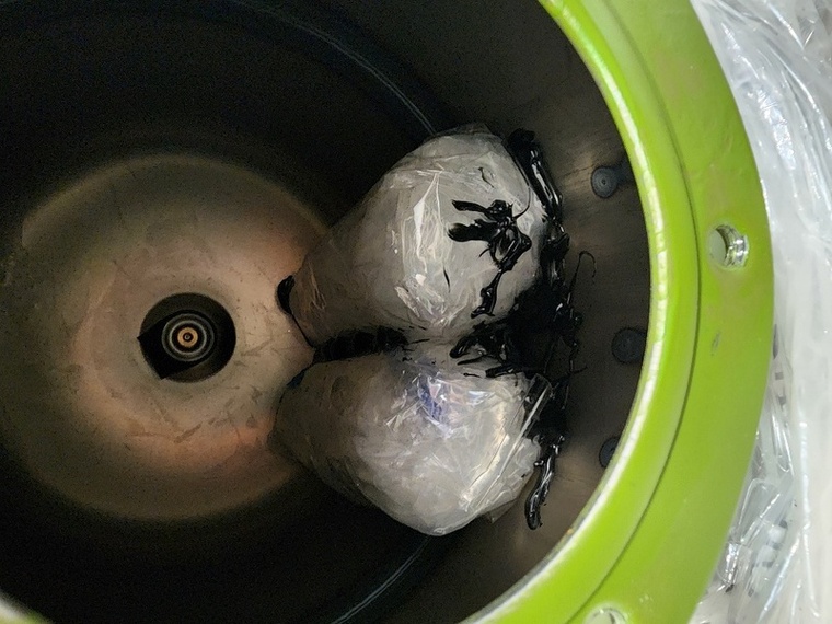 Saisie record de près de 3 kg de drogues