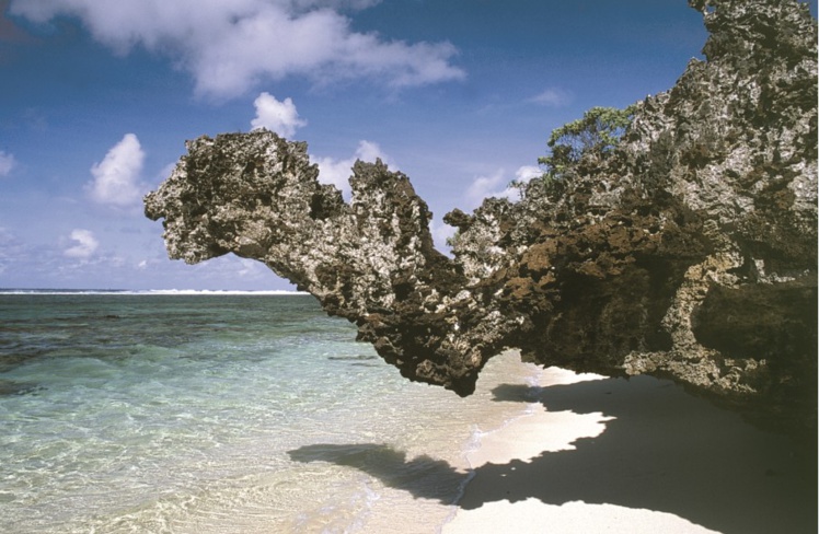 Le "dragon de corail" qui a donné son surnom à la calanque. Le "dragon de corail" qui a donné son surnom à la calanque.