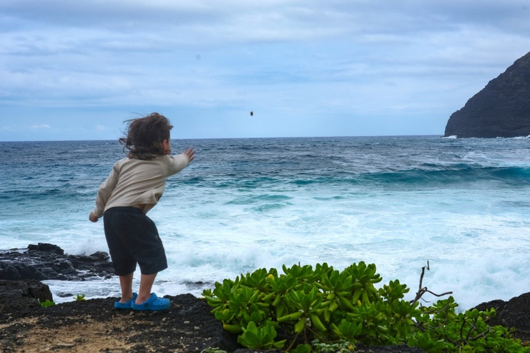 Avis d'alerte pour deux îles d'Hawaï à l'approche de l'ouragan Lowell Avis d'alerte pour deux îles d'Hawaï à l'approche de l'ouragan Lowell