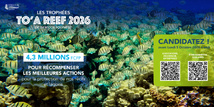 To’a Reef 2026 : l’heure est à la candidature