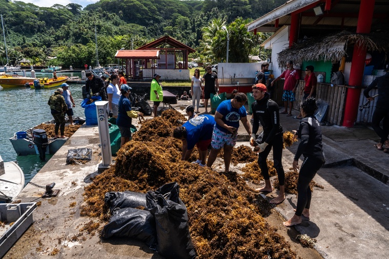 Le coup d’envoi du projet a mobilisé une quarantaine de personnes à Mataiea.