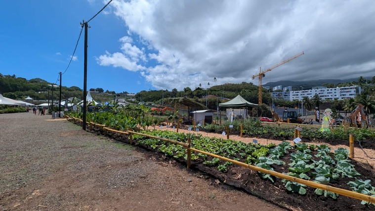 ​Foire agricole : la relève agricole au rendez-vous pour la 40e édition