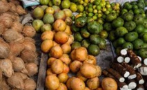 L'agriculture ultramarine face aux normes françaises et européennes: des "aberrations"