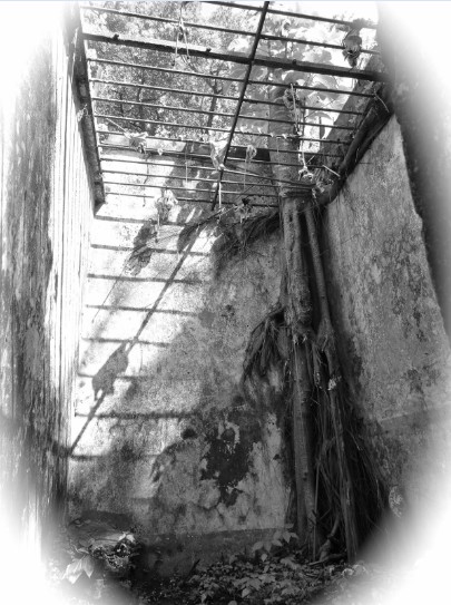 Une des cellules du bagne de Guyane où l’aîné des Rorique, Léonce, décéda le 30 mars 1898, victimes des conditions de vie et des fièvres.