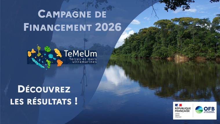 Biodiversité : Six lauréats pour la campagne TeMeUm 2026 Biodiversité : Six lauréats pour la campagne TeMeUm 2026