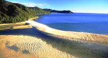 Grâce à des dons, une plage paradisiaque rendue à la Nouvelle-Zélande