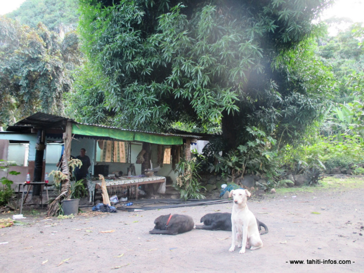 La maison avant destruction, à quelques mètres du marae. La maison avant destruction, à quelques mètres du marae.