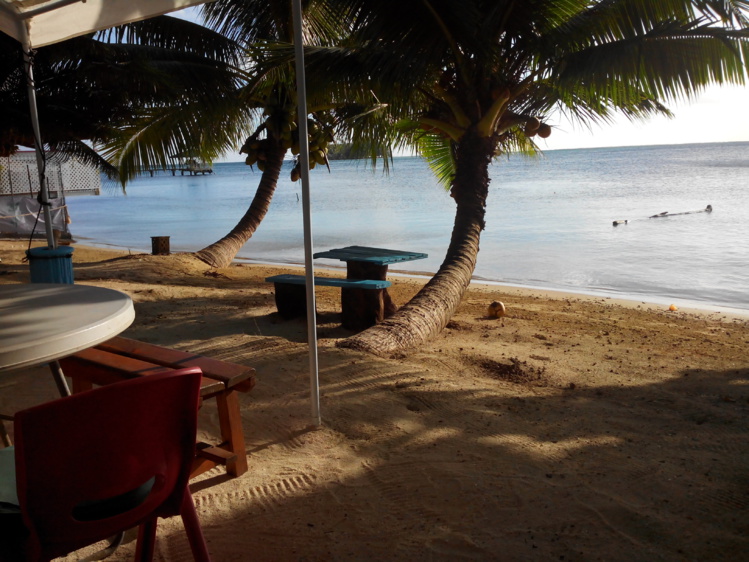 Raiatea : Le Snacki'es Natura Food Plage un nouveau snack engagé dans le zéro déchet Raiatea : Le Snacki'es Natura Food Plage un nouveau snack engagé dans le zéro déchet