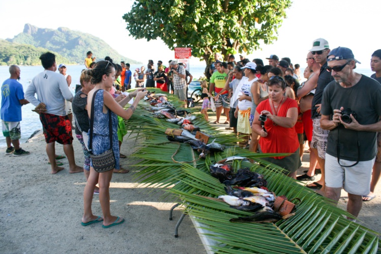 Nelson Lefoc gagnant du concours à Huahine Nelson Lefoc gagnant du concours à Huahine