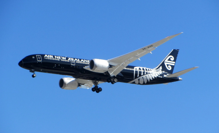 Le bel oiseau noir volera dans le ciel de Tahiti à partir du mois d'octobre Le bel oiseau noir volera dans le ciel de Tahiti à partir du mois d'octobre