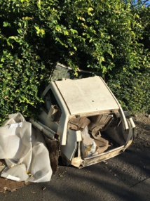 Pirae : des agents recensent les carcasses Pirae : des agents recensent les carcasses