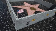 Un mur autour de l'étoile de Trump à Hollywood