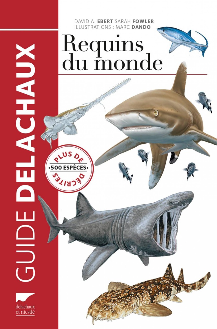 L’ouvrage de référence Les requins du monde traduit en français